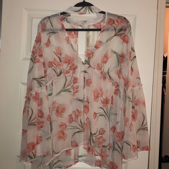 Sheer Blouse - Picture 1 of 4